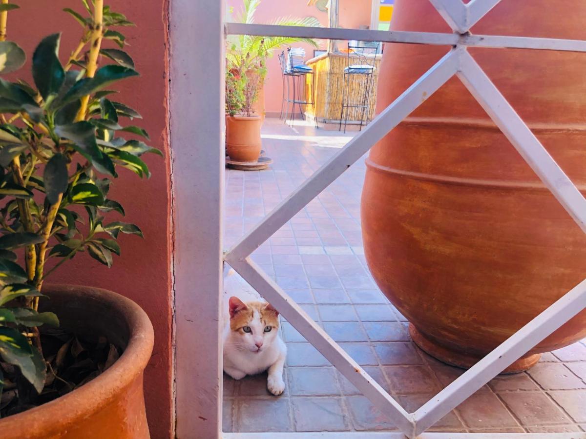 מרקש Riad Dihya מראה חיצוני תמונה